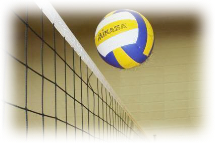 Volleyball